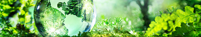 Sustainability at Alpha